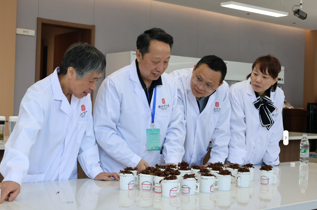 30名高手同台竞技！“宁红杯”手工红茶制作技能竞赛圆满落幕