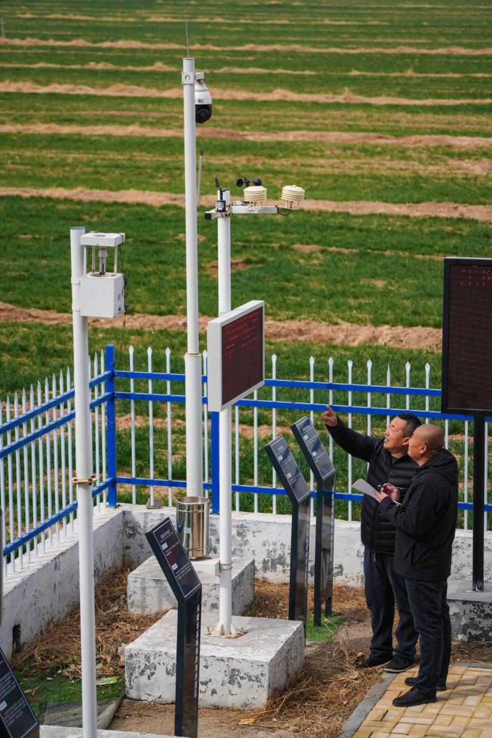 △2025年3月14日，工作人员在山东省乐陵市高标准农田示范区智能农田技术服务站查看农情监测数据。新华社发 （贾鹏 摄）