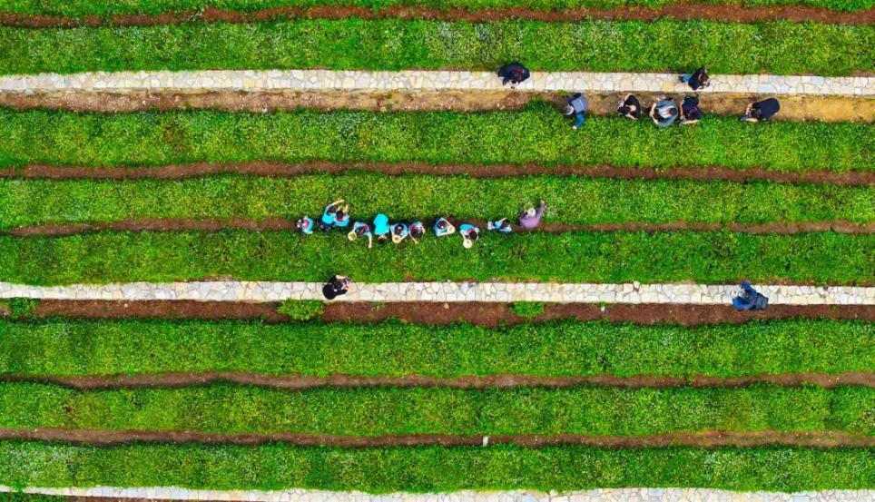 （图源：公众号“岚山发布”）