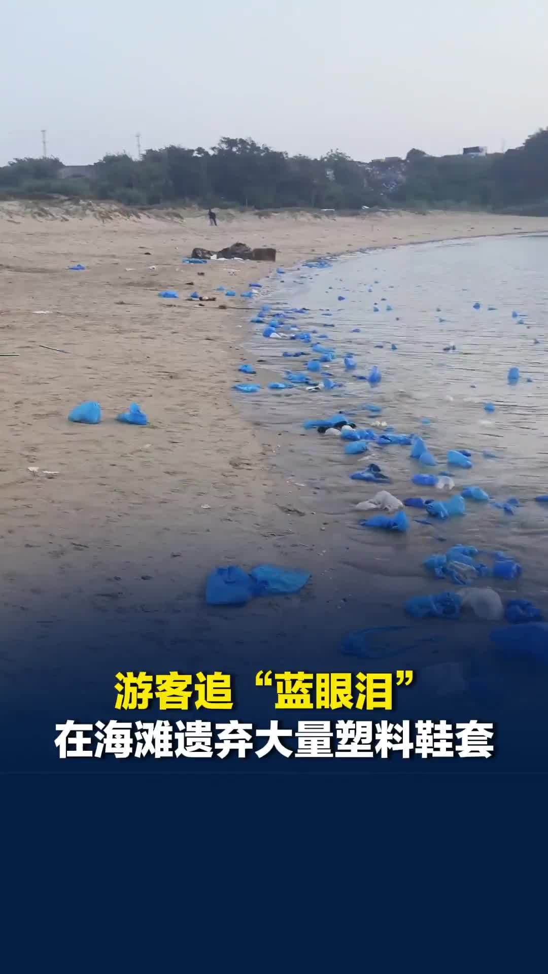游客追“蓝眼泪”在海滩遗弃大量塑料鞋套，平潭文旅回应：会引导游客文明观赏