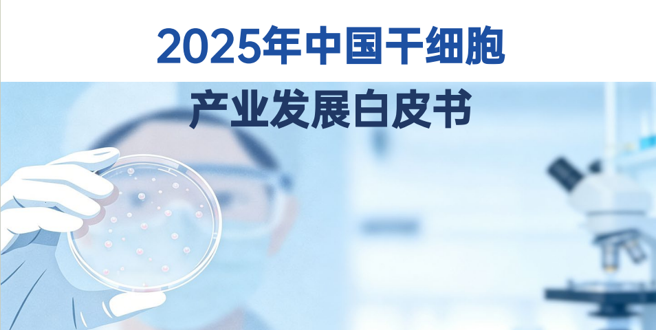 全国每两例脐带血就有一例来自这里 齐鲁干细胞凭什么“断层领先”?