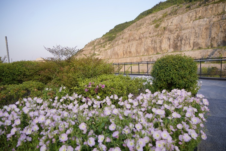 专稿&middot;梁平｜《阳光倾城》19岁了，邓煌和她的朋友们办了一场读书会