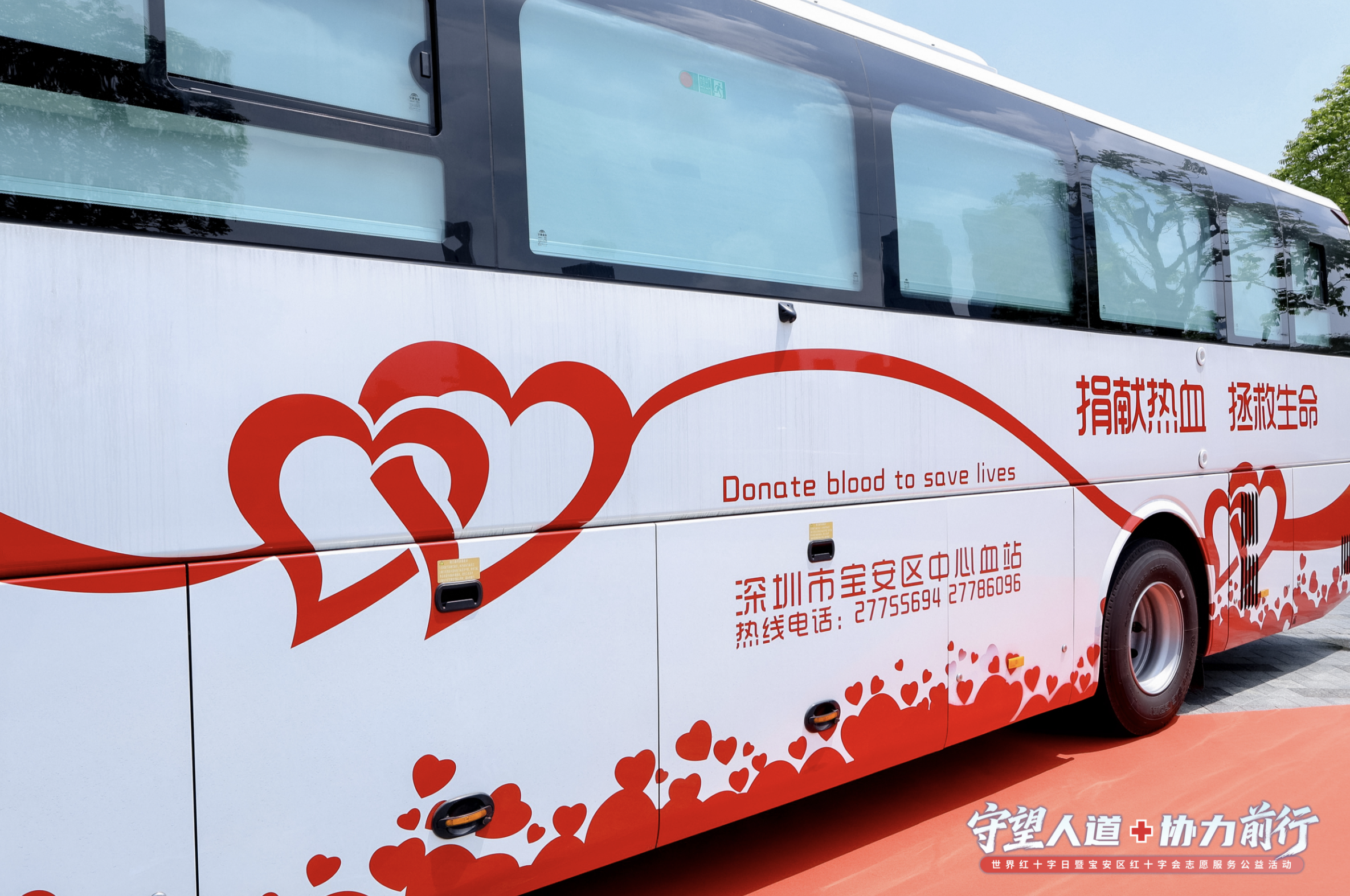 急救体验、无偿献血、义诊助老!宝安区红十字会公益志愿活动与爱同行