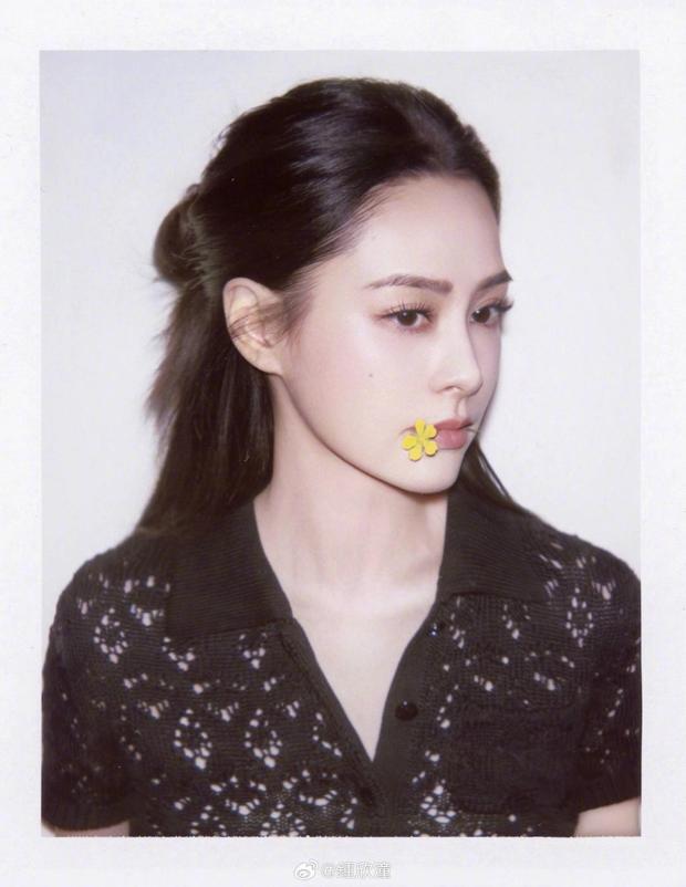 阿娇侧颜精致。