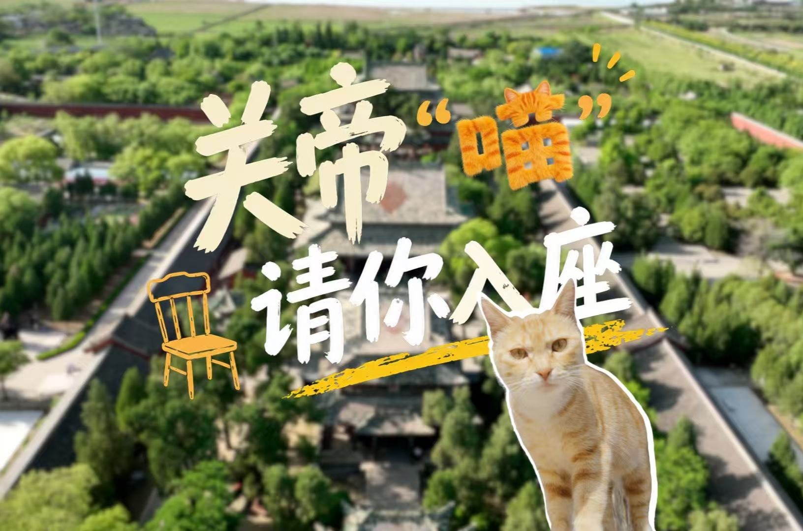 关帝“喵”请你入座