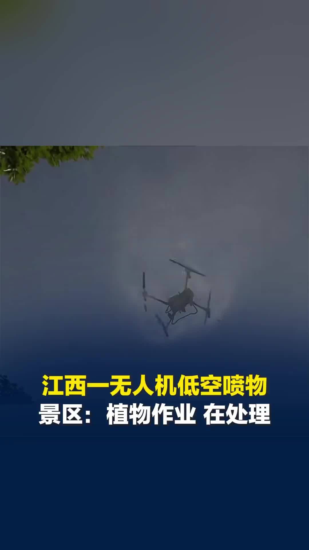 江西九江一景区无人机低空喷洒农药，游客无处躲避？景区：针对植物作业，正在处理