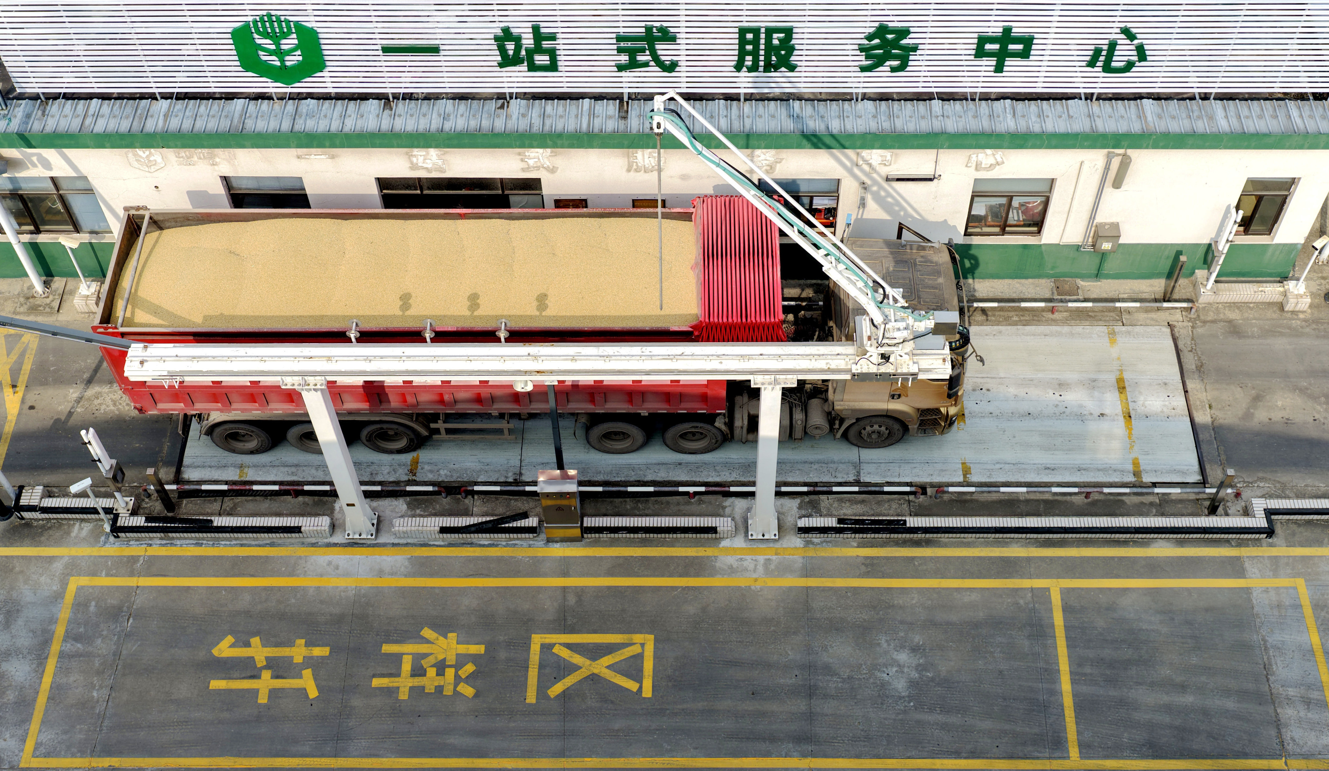 “金豆”入新仓 科技赋新能！中储粮九江湖口浅圆仓解锁储粮新模式