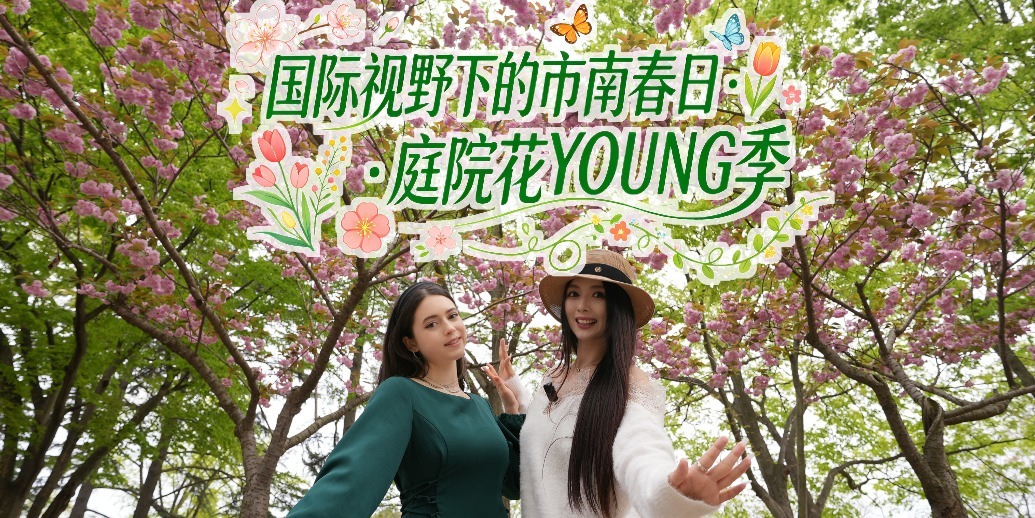 凤凰视频|国际视野下的市南春日，庭院花YOUNG季浪漫上线！