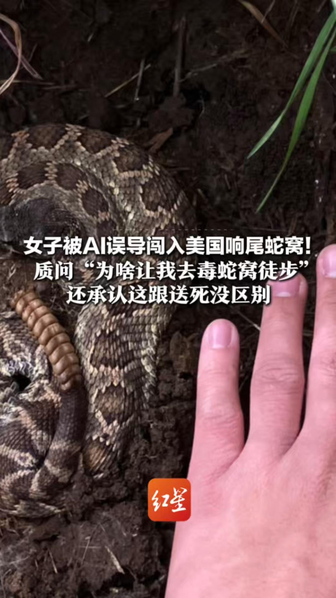 女子被AI误导闯入美国响尾蛇窝！质问“为啥让我去毒蛇窝徒步”AI立马自动道歉  还承认这跟送死没区别