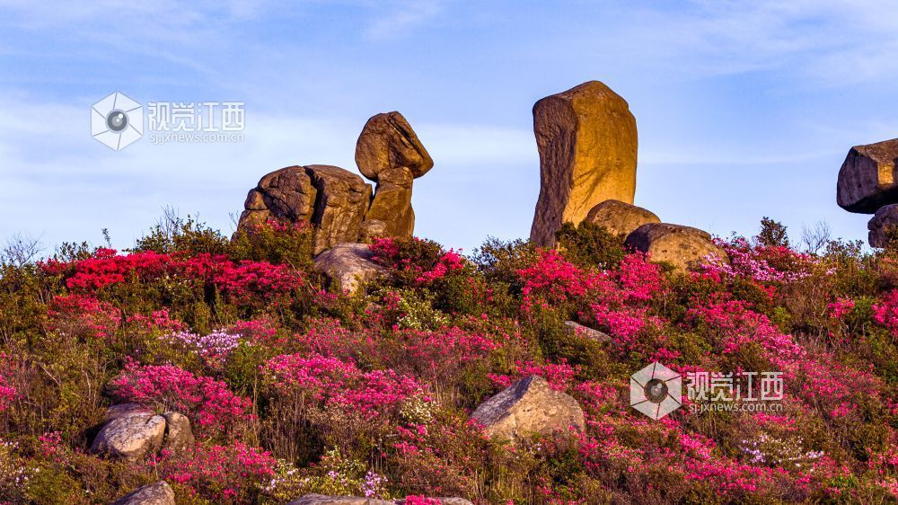 4月26日在江西省吉安市新干县七琴镇燥石景区拍摄的画面。