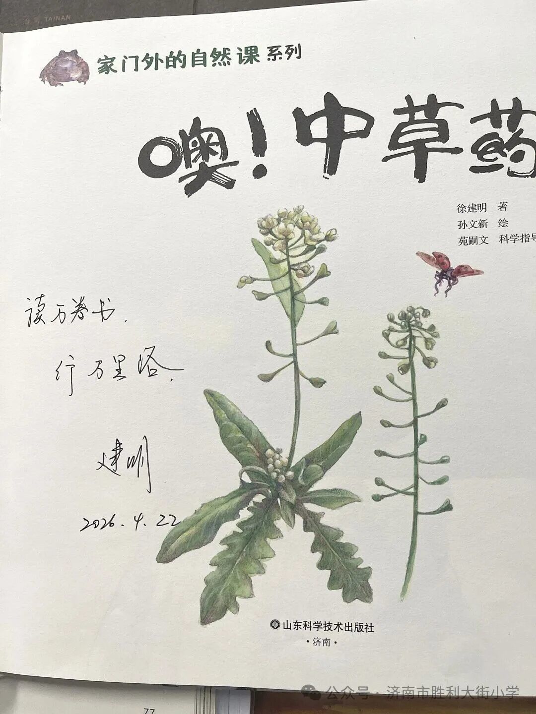 图片