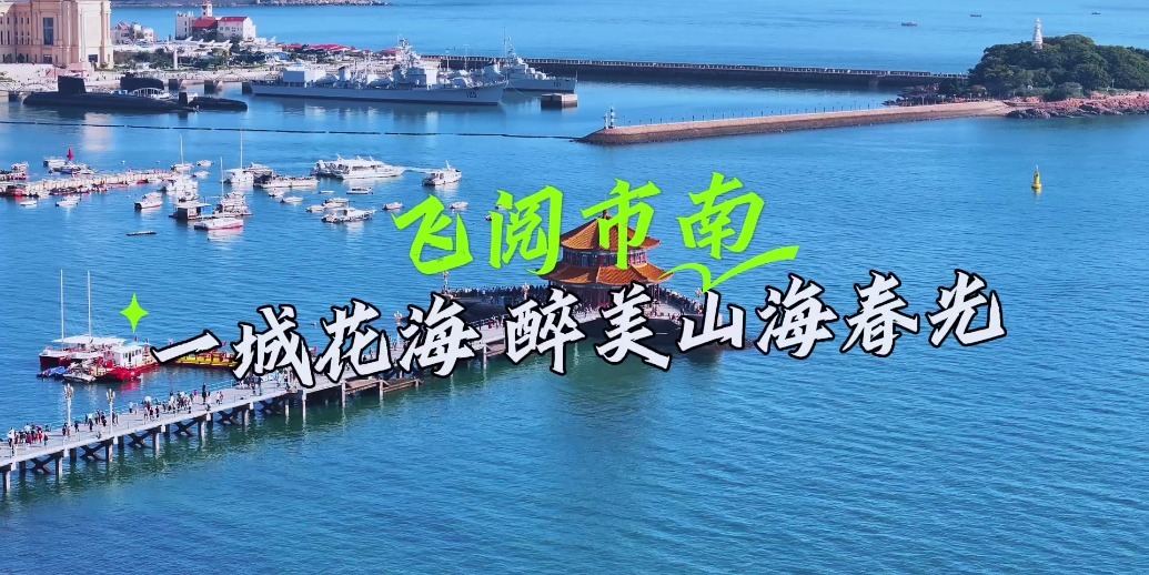 凤凰视频|飞阅市南：一城花海，醉美山海春光