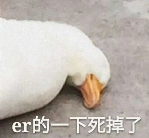 求er的一下死掉了鸭子表情包