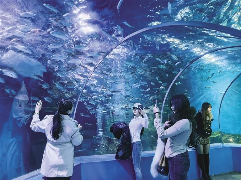兰州野生动物园海洋馆
