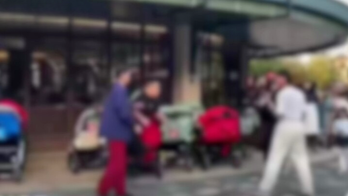 上海迪士尼回应游客劝阻吸烟被打