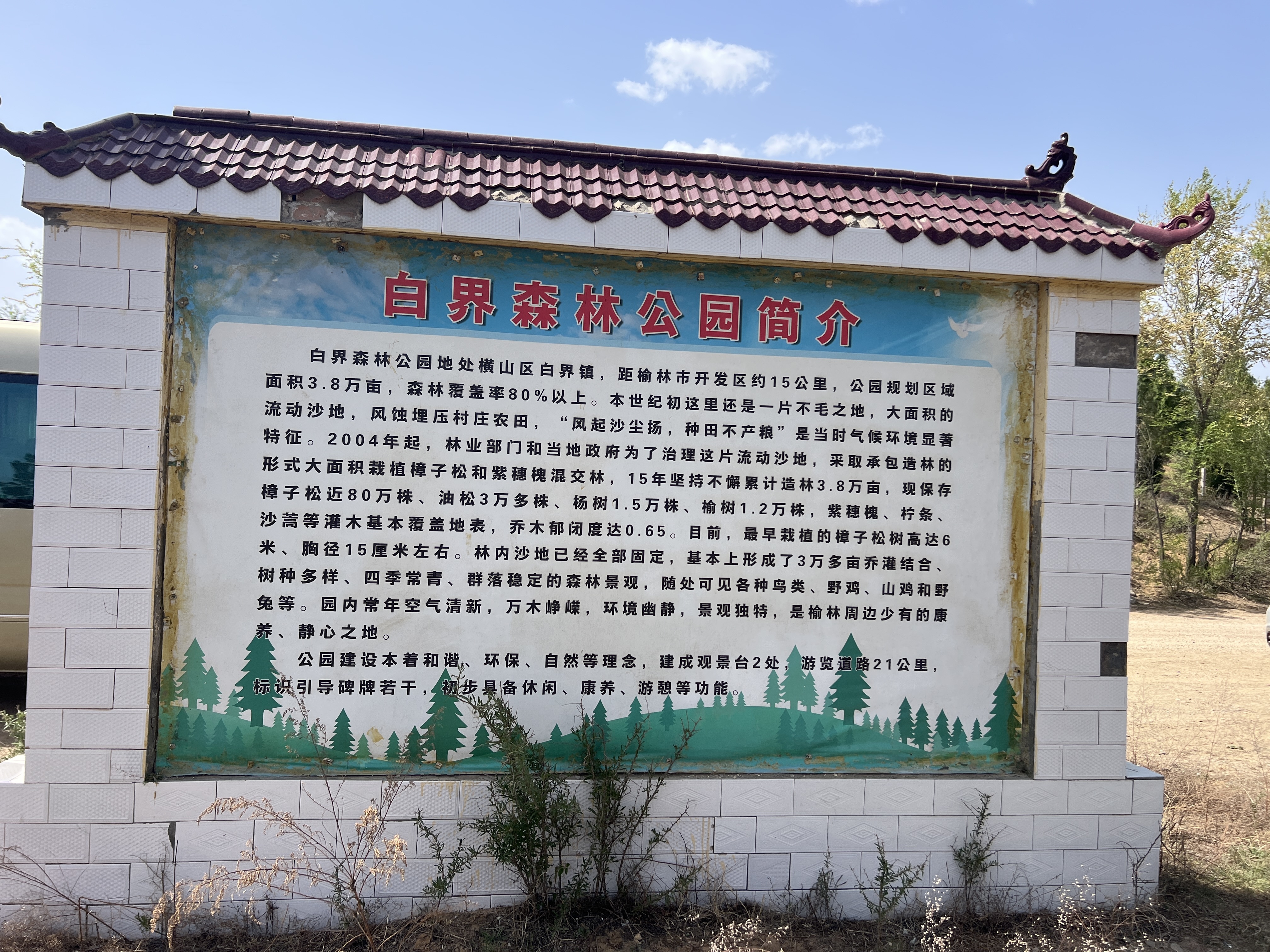 绿染榆林 科技筑屏——榆林以科学防治书写沙漠治理时代答卷