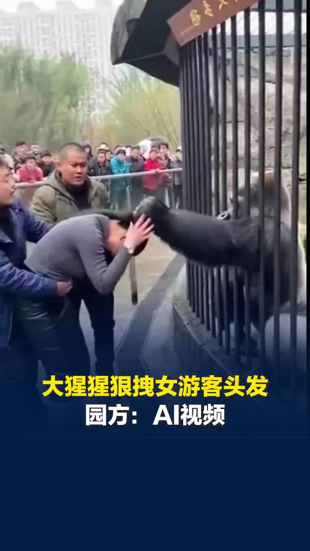 大猩猩狠拽女游客头发？海南热带野生动植物园：博主自行发布的AI视频，已向平台投诉