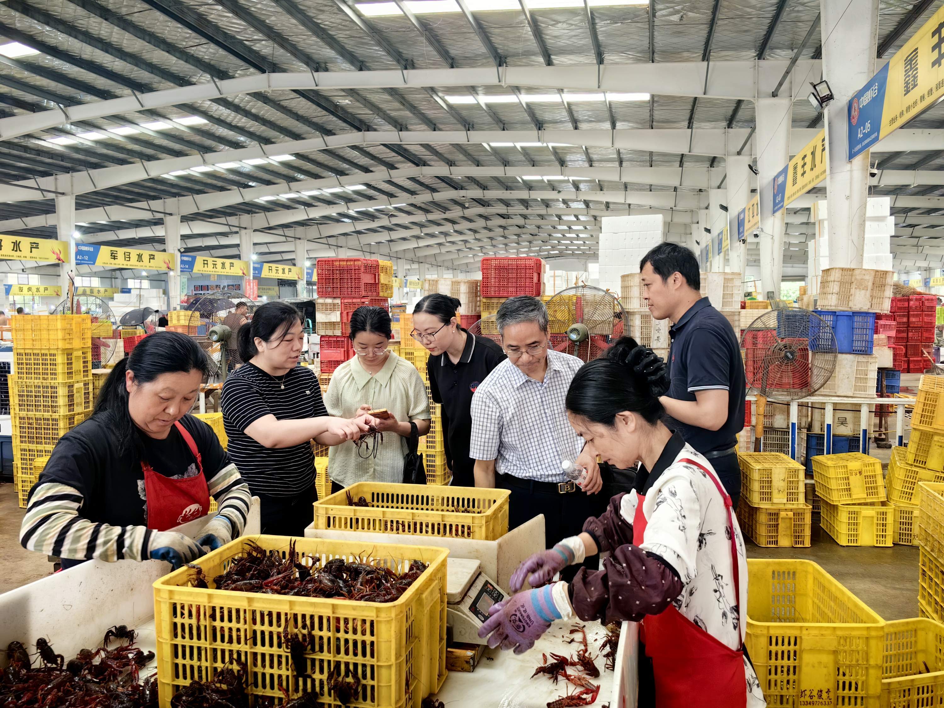 省级科技特派员在潜江虾谷指导小龙虾生态冰温活运技术