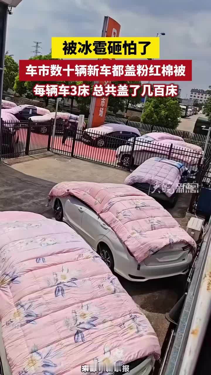 被冰雹砸怕了，车市数十辆新车都盖了粉红棉被，每辆车3床 总共盖了几百床#云南19怪