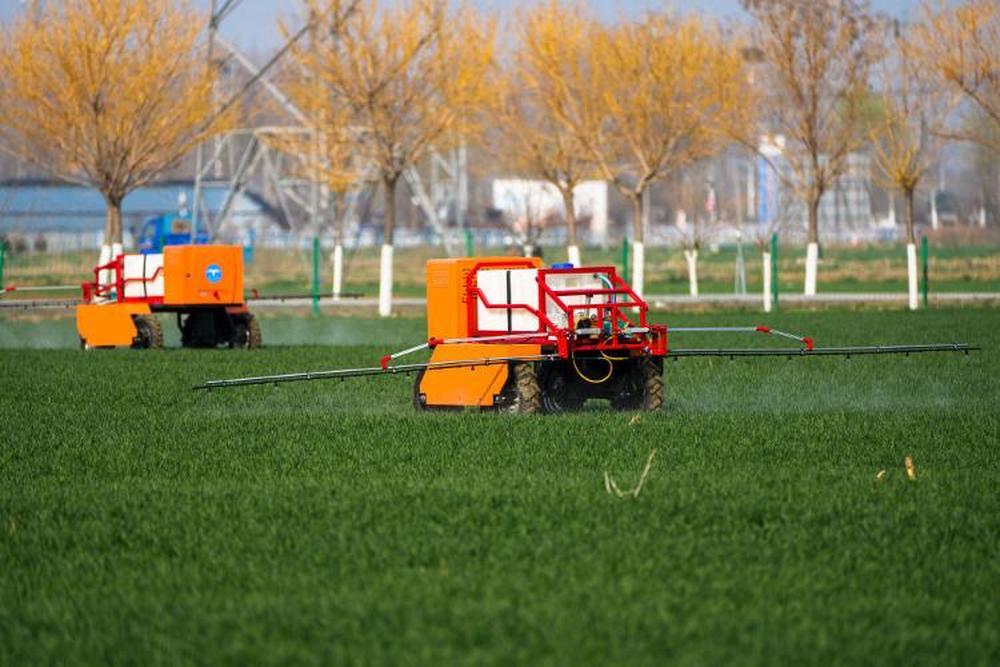 △3月9日，在山东省肥城市安驾庄镇洼里无人智慧农场内，喷药机器人在田间喷洒农药。新华社记者 朱峥 摄