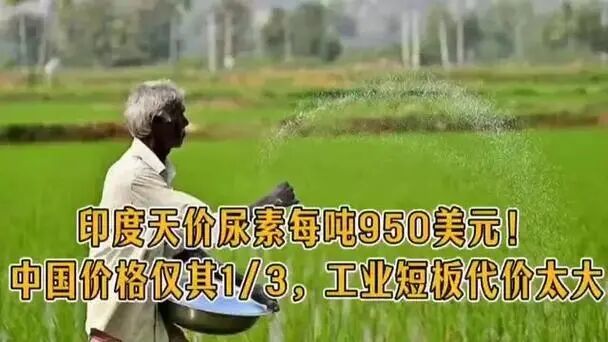 百度图片 - 更多高清美图