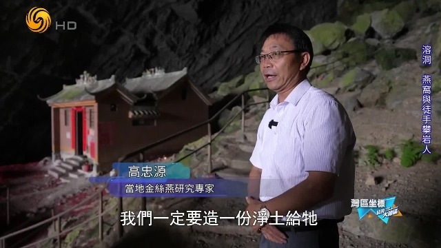 燕窝那么值钱，为何怀集本地人不以卖燕窝为生？