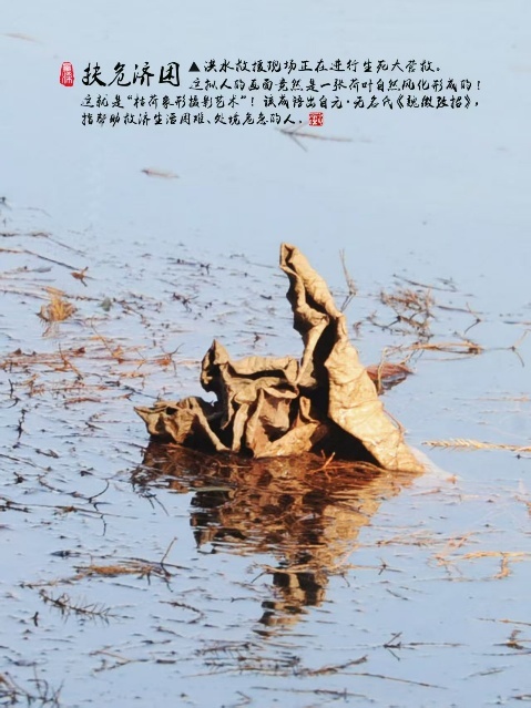 枯荷作品《扶危济困》