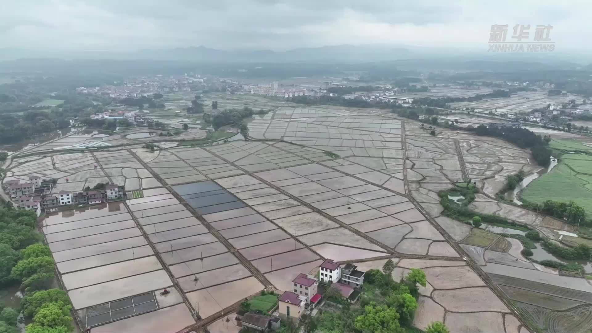 江西泰和：新模式助力春耕生产