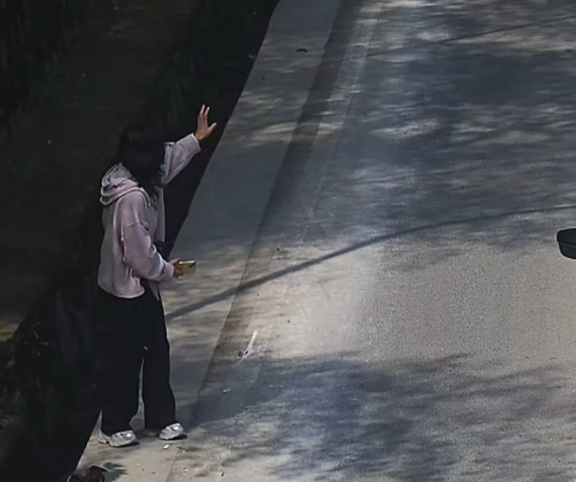 第一位救助女子招手寻求帮手