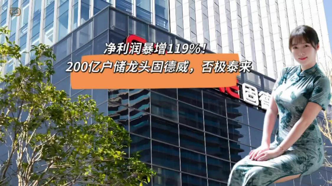 净利润暴增119%，200亿户储龙头固德威，否极泰来