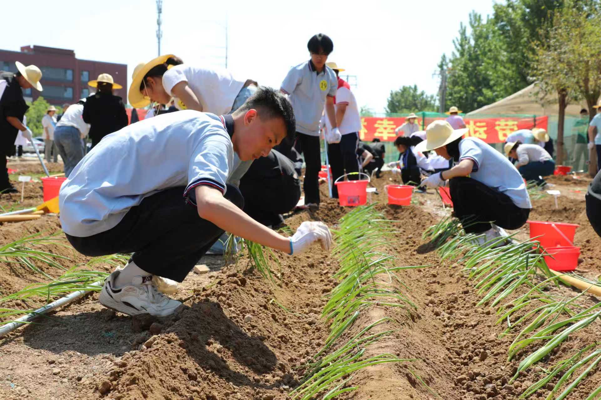 4月29日，2026年石家庄市学生劳动技能竞赛举办。石家庄市教育局供图