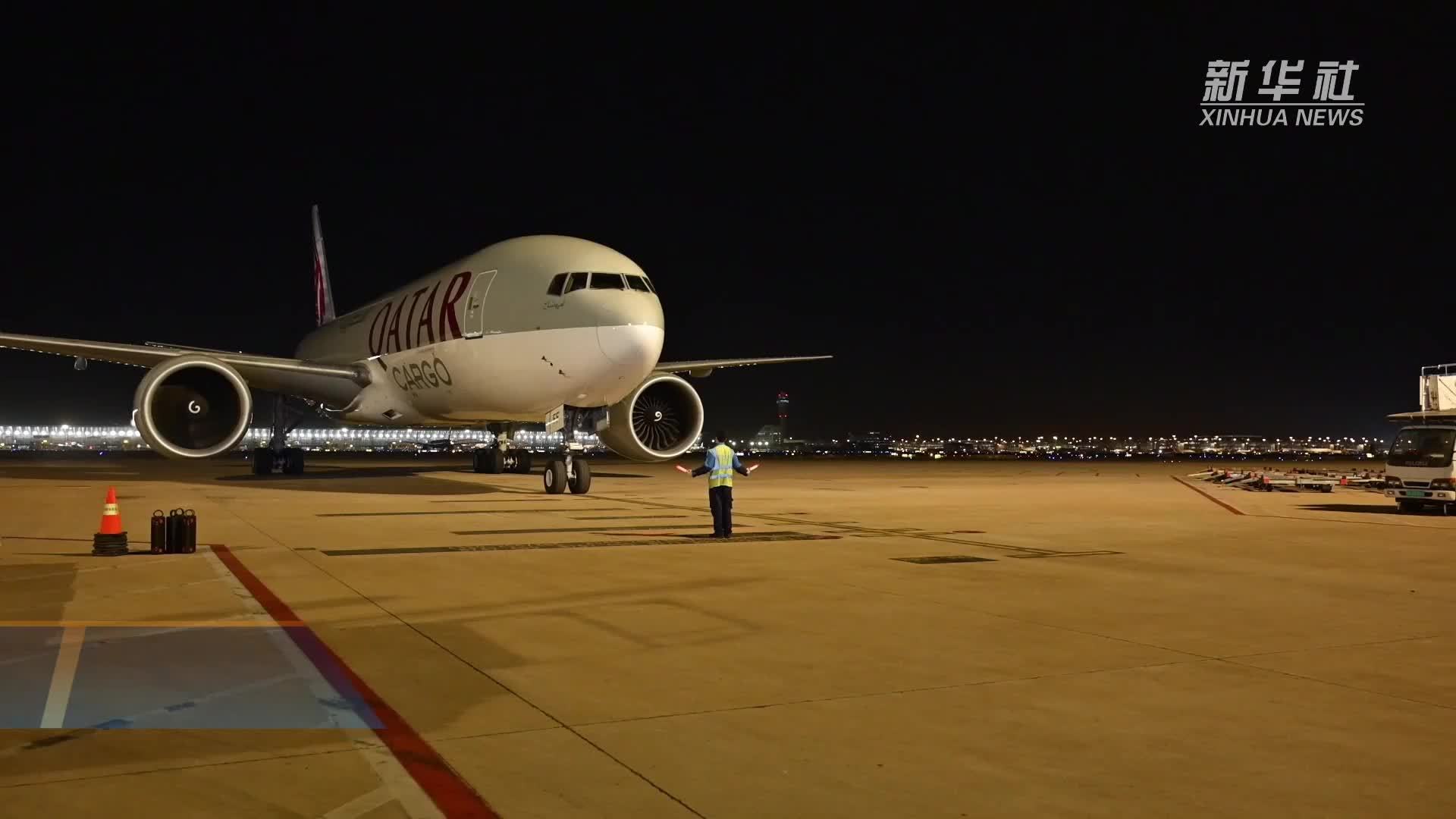 首批48匹顶级赛马抵沪 2026上海浪琴环球马术冠军赛进入倒计时