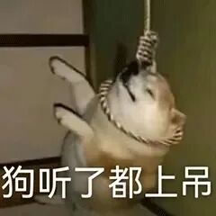 狗听了都上吊的表情包- 抖音