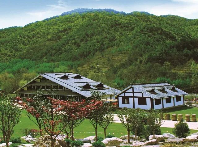 图源：陇南市文化广电和旅游局