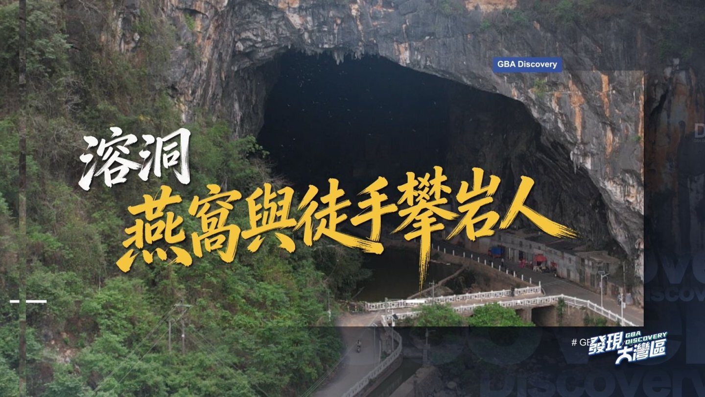 溶洞·燕窝与徒手攀岩人