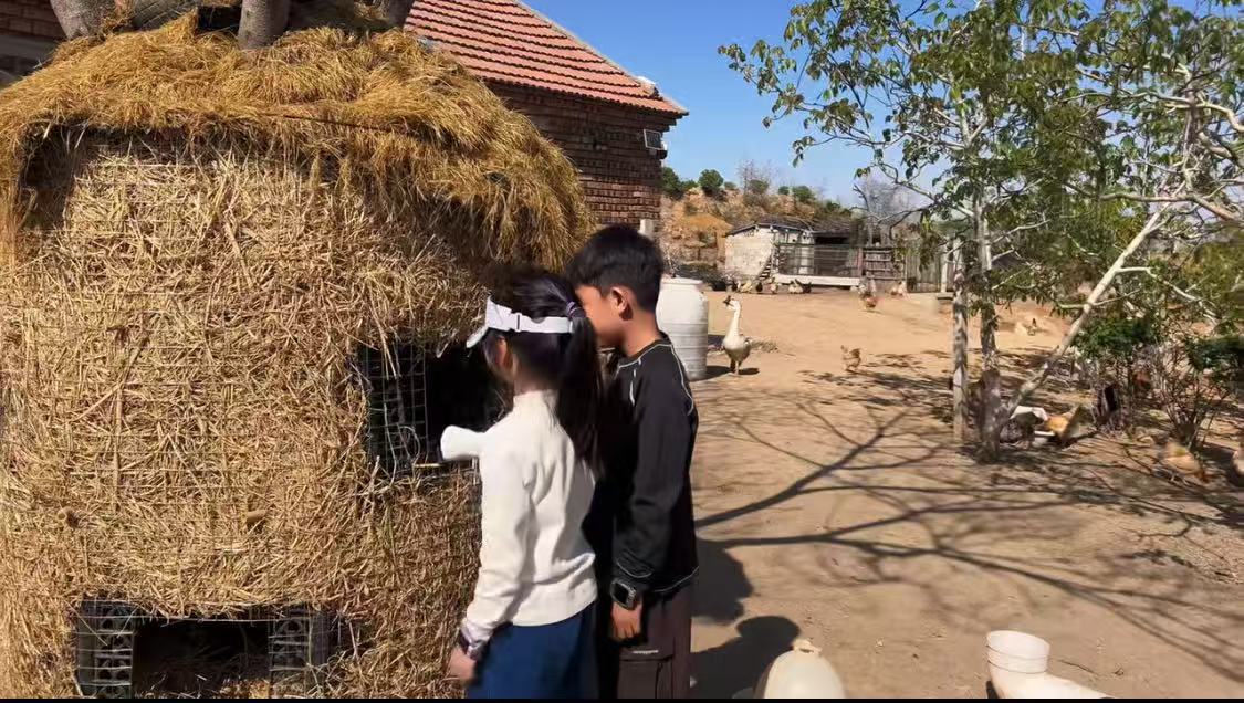 邹城市农文旅融合“小而美”业态渐入佳境