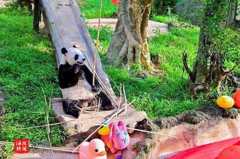 海南多维度发力打造安全有序优质文明旅游环境(图7)