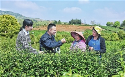 江西萍乡：护航乡村振兴（图）