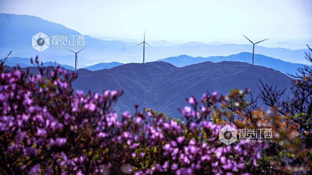 4月26日在江西省吉安市新干县七琴镇燥石景区拍摄的画面。