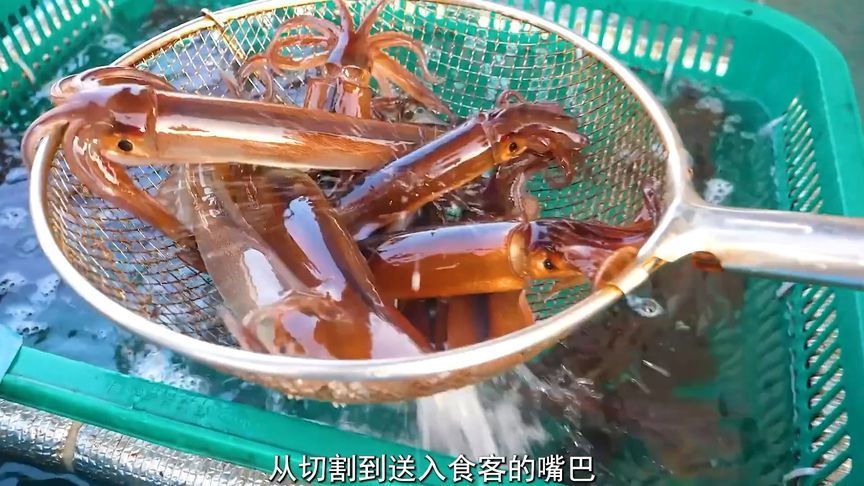 深海鱿鱼原来得这么切，处理完后洁白无比，软糯香甜