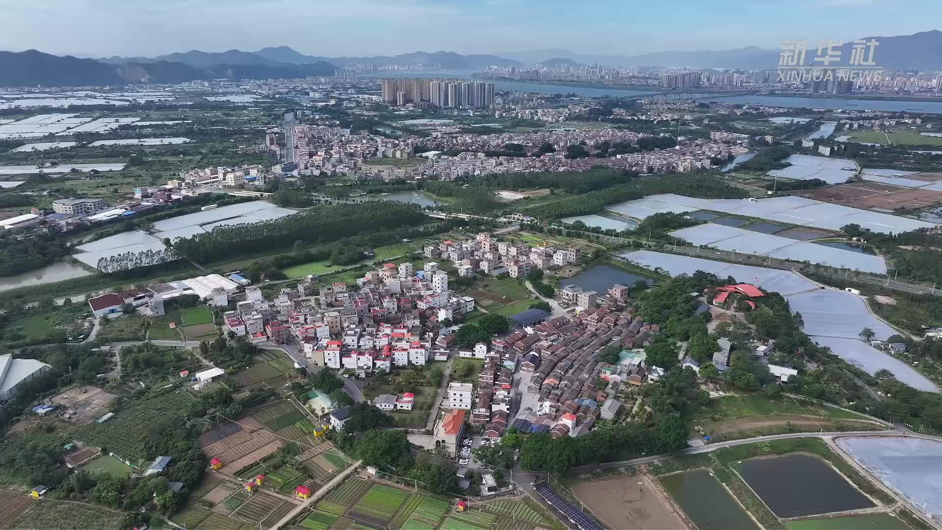 广东高要：美学引领、青年赋能，农文旅融合拓宽增收路