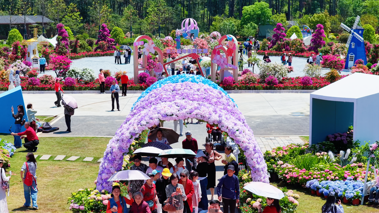 花海绽放迎客来！第二届南昌园艺展今日启幕