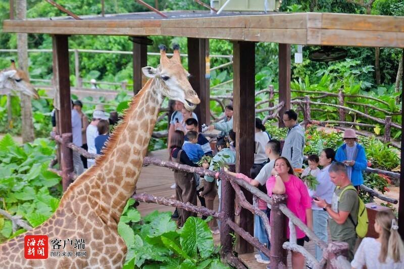 海南多维度发力打造安全有序优质文明旅游环境(图5)