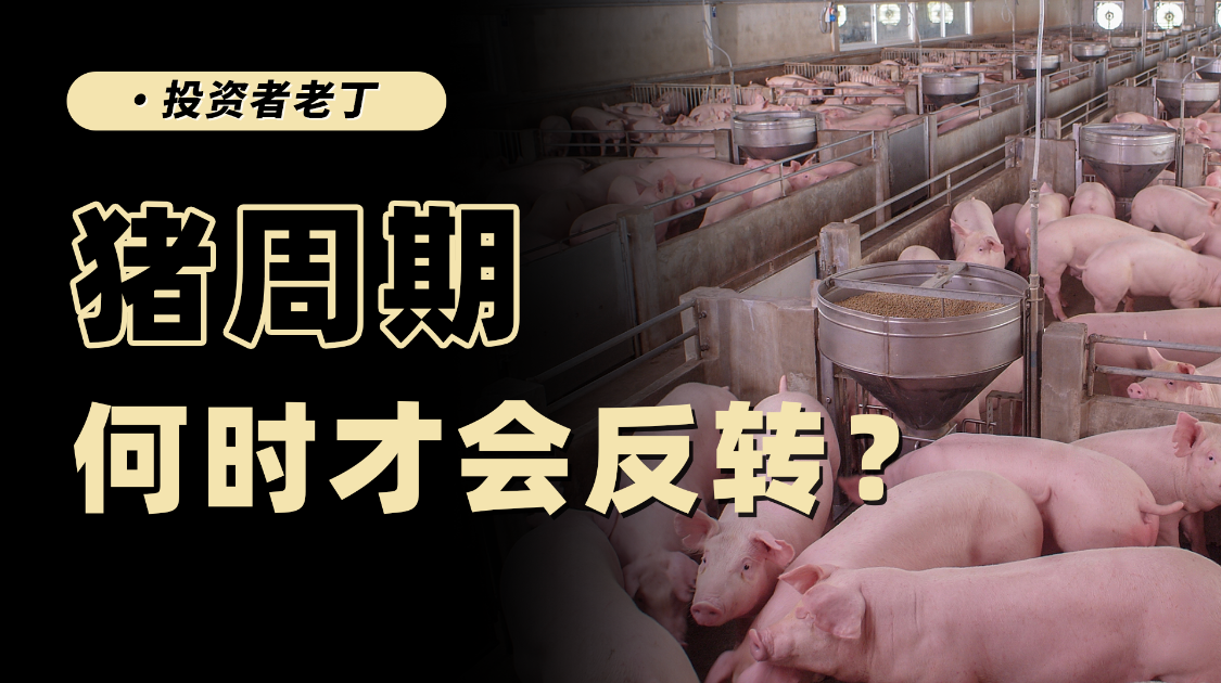 猪价暴跌，2026年猪周期有哪些不一样？
