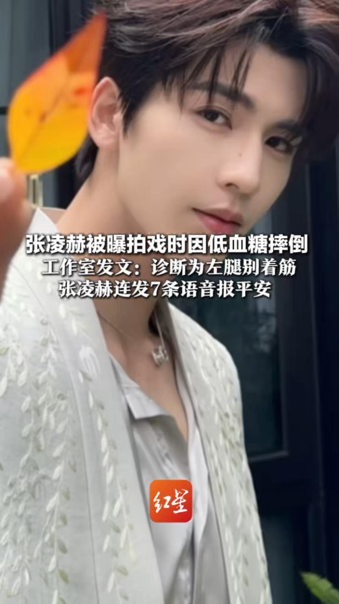 张凌赫被曝拍戏时因低血糖摔倒 工作室发文：诊断为左腿别着筋 张凌赫连发7条语音报平安 “就像平时打球时扭到了 是件小事儿”