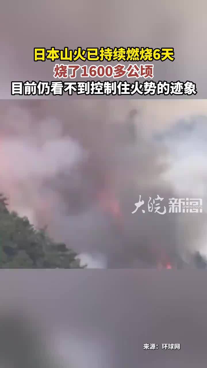 日本山火已持续燃烧6天 烧了1600多公顷 目前仍看不到控制住火势的迹象