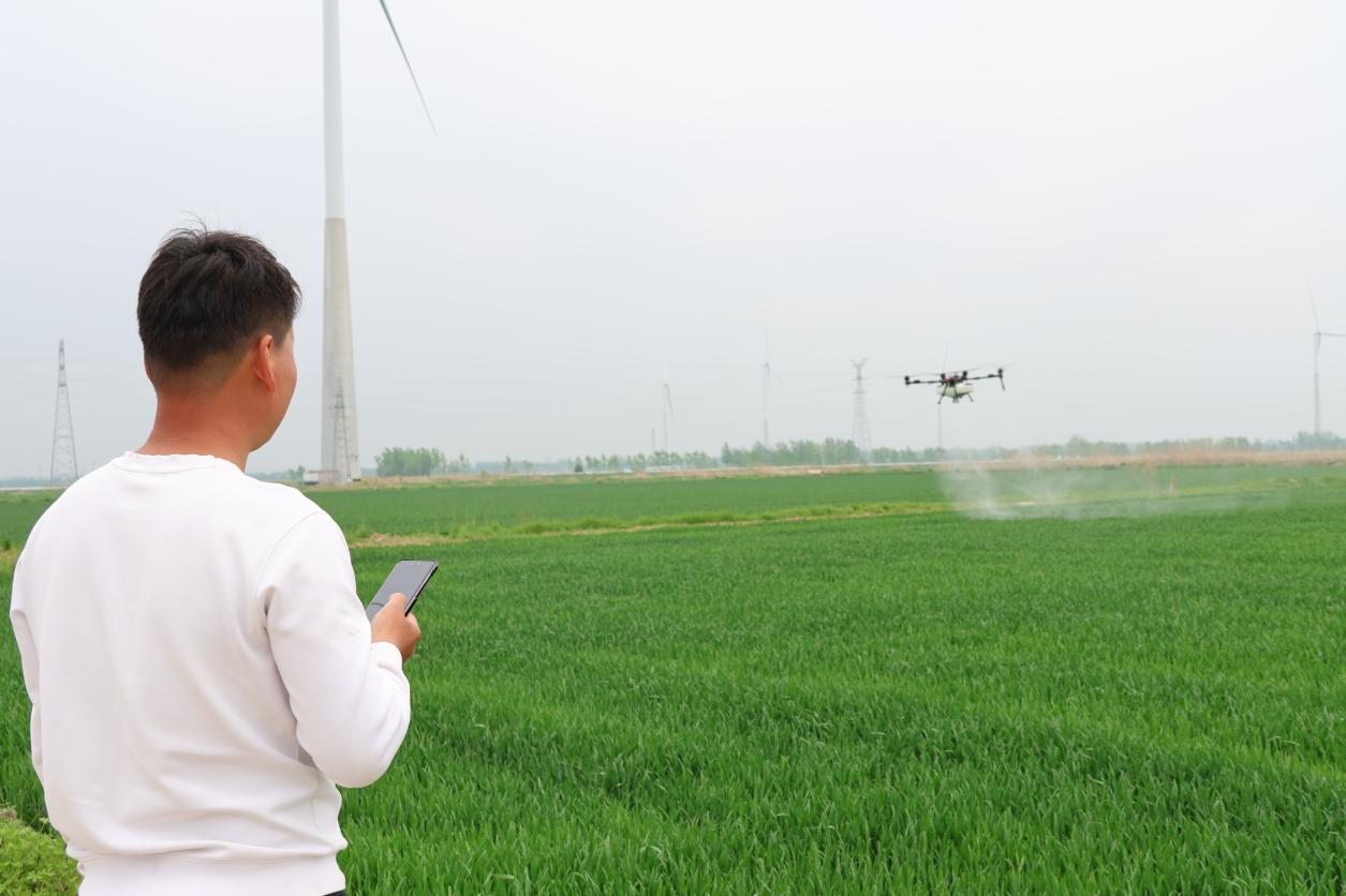 徐州睢宁“慧”耕实践：现代农业与农耕本真如何共生？