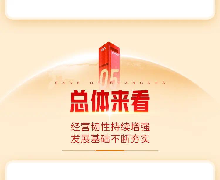 年报---副本_12.png