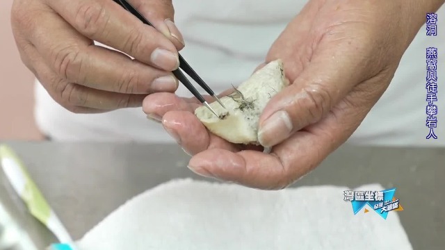 燕窝为什么卖的这么贵？看看挑燕毛环节就知道了