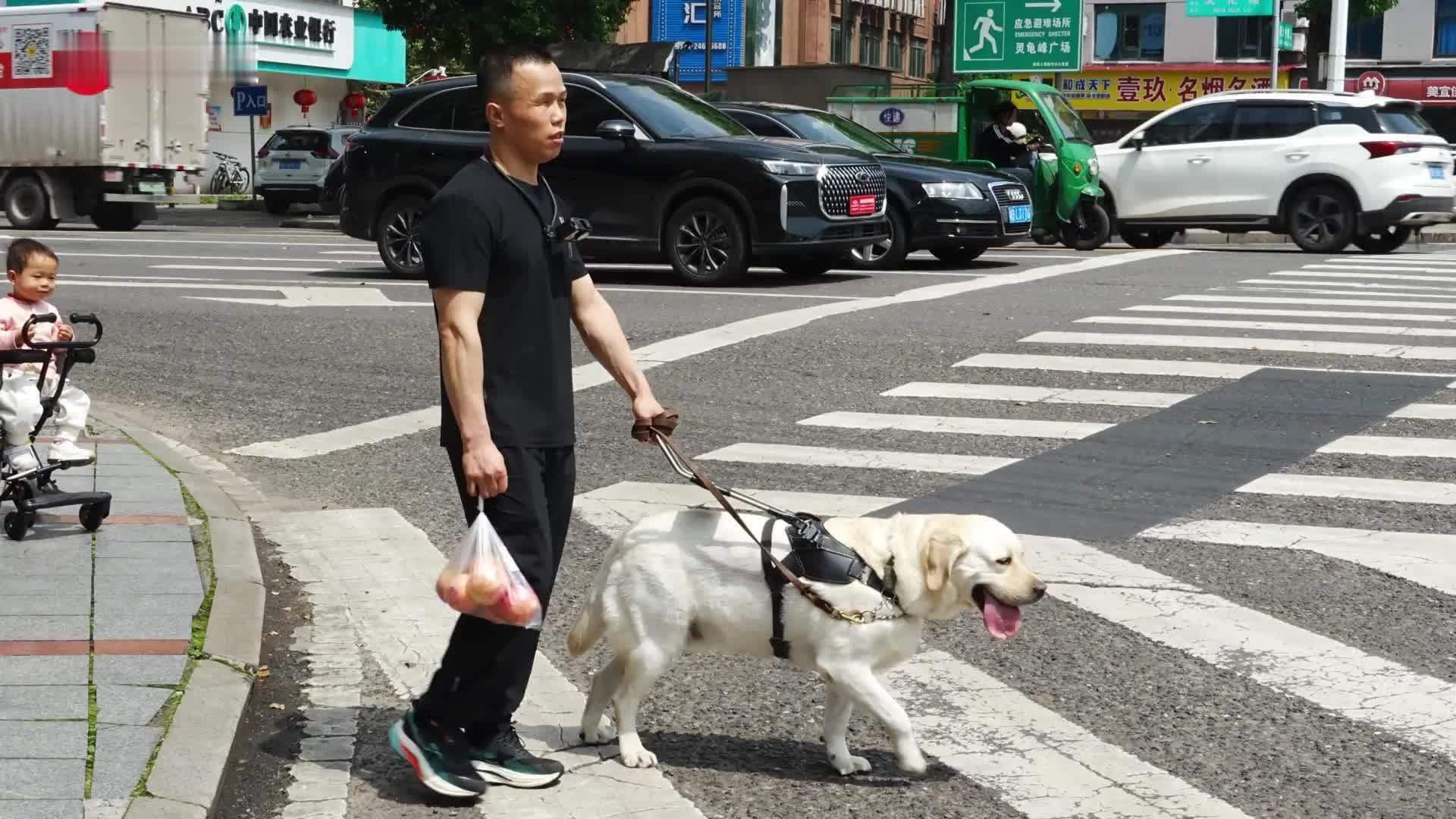 黑暗里，我将余生交给导盲犬丨湖南仅4只导盲犬，0.0023%中签率，他等了三年半
